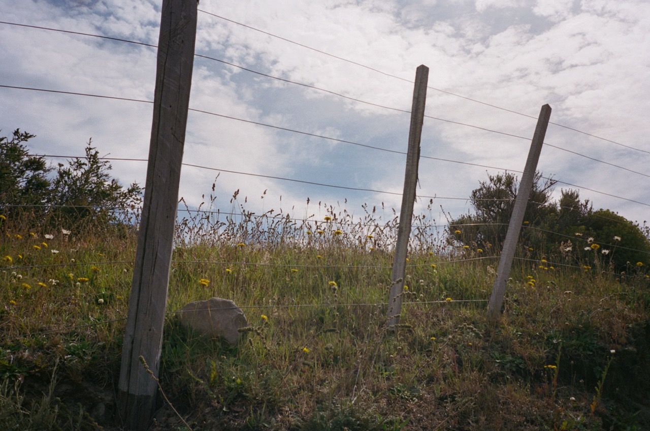 Travel Photo 33